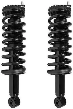 UNITY 2-15850-001 2-15850-001 Rear Complete Strut Assembly Kit UNITY 2-15850-001 2-15850-001 Rear Complete Strut Assembly Kit