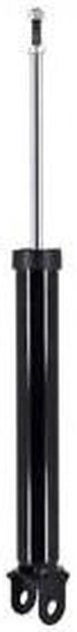 FCS STRUTS 346256 Shock Absorber, 346256