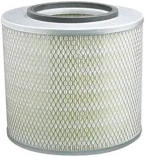 BALDWIN FILTERS PA2379 Air Filter,10 x 9-7/16 in.