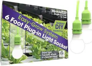 MIRACLE LED 602197 LED Ready Corded Ligh,Single Socket,PK2
