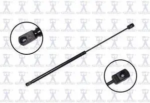 FCS STRUTS 84154 Lift Support Hood, 84154