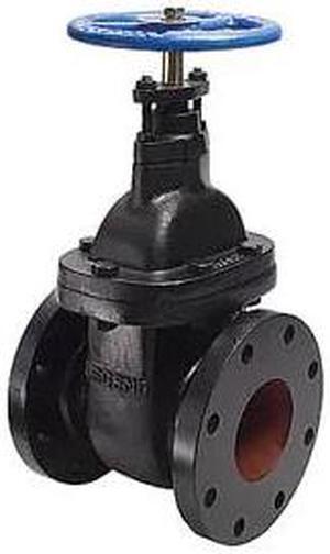 LEGEND VALVE 116-105 5" T-301 CAST IRON GATE VALVE
