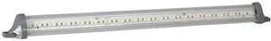 MAXXIMA M84421-E Undercarriage Light,Rectangular,Clear