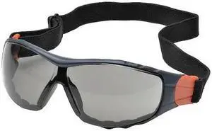 DELTA PLUS GG-45G-AF Go-Specs II, Safety Glasses Anti-Fog &  Anti-Scratch, Gray