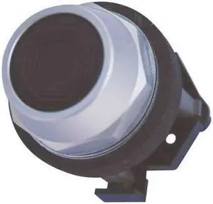 Pushbutton, Flush, Black