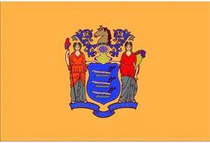 ANNIN FLAGMAKERS 143660 New Jersey State Flag,3x5 Ft