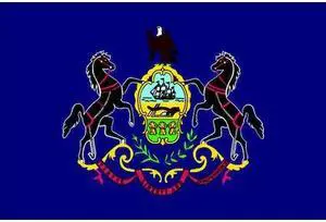 ANNIN FLAGMAKERS 144660 Pennsylvania State Flag,3x5 Ft