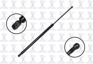 FCS STRUTS 86445 Lift Support Hatch, 86445