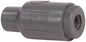 HAYWARD TC10037T 3/8" FNPT PVC Check Valve
