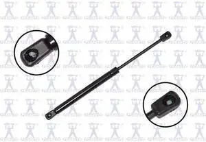 FCS STRUTS 84160 Lift Support Hood, 84160