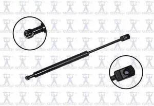 FCS STRUTS 86149 Lift Support Hood, 86149