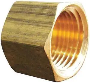 ZORO SELECT 6AYZ2 1/8" FNPT Brass Cap