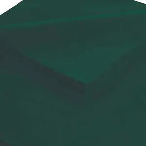 PARTNERS BRAND T2030T Tissue Paper, Gift Grade, 20" x 30", Evergreen, PK480