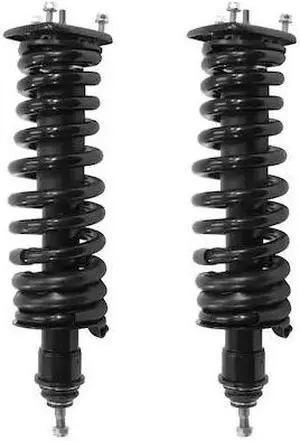 UNITY 2-15290-001 2-15290-001 Rear Complete Strut Assembly Kit