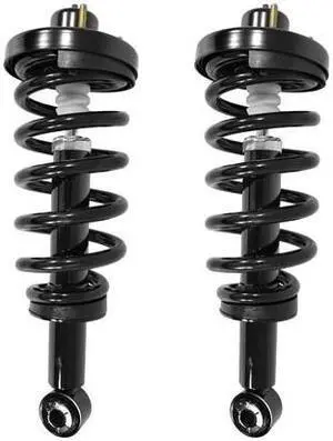 UNITY 2-15410-001 2-15410-001 Rear Complete Strut Assembly Kit