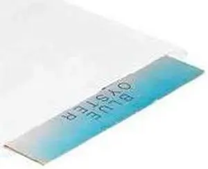 PARTNERS BRAND BGM109W Flat Merchandise Bags, 15" x 18", White, PK500