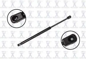 FCS STRUTS 84196 Lift Support Hatch, 84196