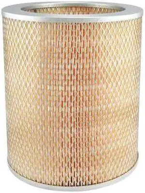 BALDWIN FILTERS PA617 Air Filter,9 x 10 in.