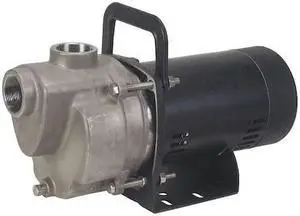 DAYTON 4YKN9 Transfer Pump, 1 1/2 HP, SS
