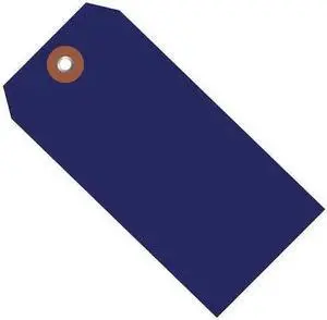 PARTNERS BRAND G26062 Plastic Shipping Tags, 6 1/4" x 3 1/8", Blue, 100/Case