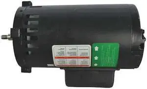 DAYTON PPTNXZ31G Motor