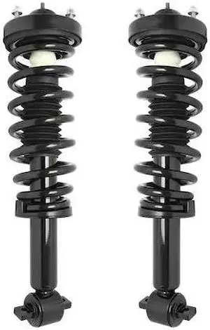 UNITY 2-11263-11264-001 2-11263-11264-001 Front Complete Strut Assembly Kit