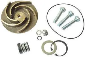 DAYTON 21TG87 Pump Repair Kit,For 2ZWY6A