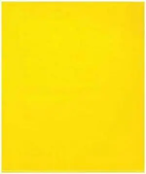 PARTNERS BRAND PB572Y Flat Poly Bags, 15" x 18", 2 mil, Yellow, 1000 PK