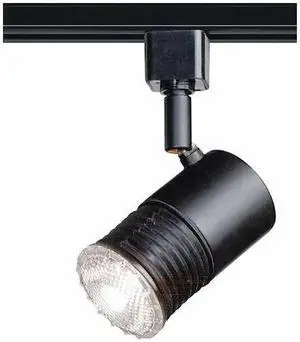 NUVO TH280 1-Light, 2 in., Track Head, Mini Universal Holder, Black Finish