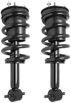 UNITY 2-11650-001 2-11650-001 Front Complete Strut Assembly Kit