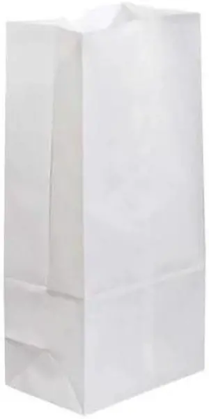 PARTNERS BRAND BGG108W Grocery Bags, 7 3/4" x 4 3/4" x 16", White, 500/Case