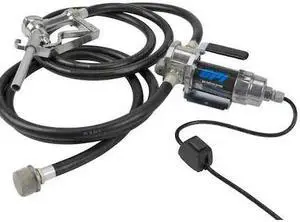 GPI 147000-01 Fuel Transfer Pump, 12V DC, 8 gpm Max. Flow Rate , 1/10 HP, Cast