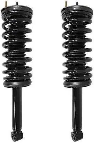 UNITY 2-15270-001 2-15270-001 Rear Complete Strut Assembly Kit