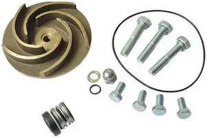 DAYTON 21TG60 Pump Repair Kit,For 2ZWT6A,2ZWT7A