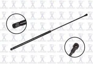 FCS STRUTS 84172 Lift Support Hood, 84172