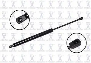 FCS STRUTS 86648 Lift Support Hatch, 86648
