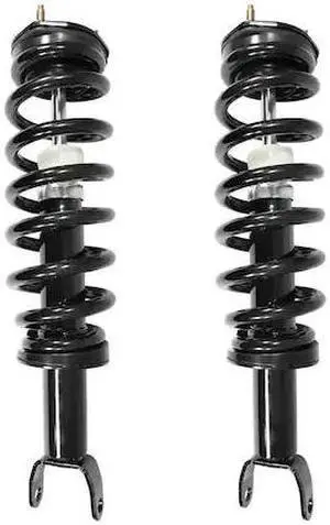 UNITY 2-11620-001 2-11620-001 Front Complete Strut Assembly Kit