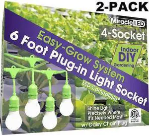 MIRACLE LED 602201 LED Ready Corded Lighti,Four Socket,PK2