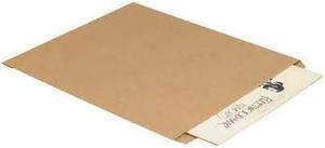 PARTNERS BRAND BGM106K Flat Merchandise Bags, 15" x 18", Kraft, 500/Case