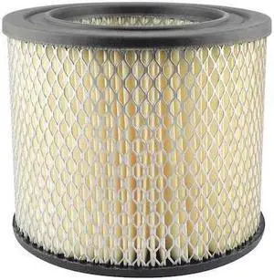 BALDWIN FILTERS PA1888 Air Filter,7 x 6 in.