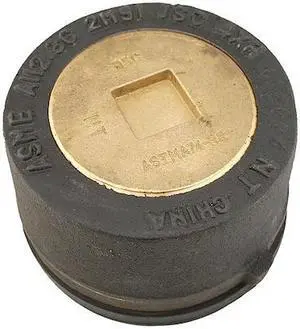 JONES STEPHENS C36114 Cast Iron, Plug: Countersunk, Cleanout with Gasket