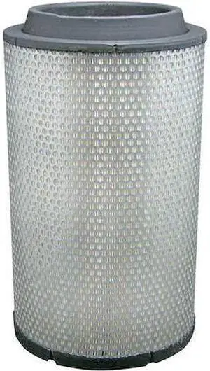 BALDWIN FILTERS RS5441 Air Filter,9-3/32 x 16-5/16 in.