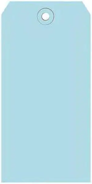 PARTNERS BRAND G11071B Shipping Tags, 13 Pt., 5 3/4" x 2 7/8", Light Blue,