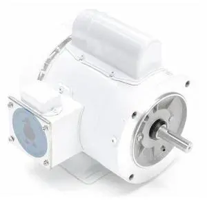 LEESON 113581.00 Washdown Motor,1/2 HP,10-3/8 in. L,CWSE