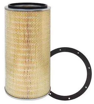 BALDWIN FILTERS PA2312 Air Filter,10-3/8 x 22-13/16 in.