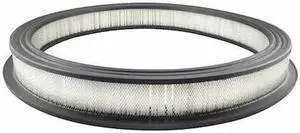 BALDWIN FILTERS PA631 Air Filter,17-5/16 x 2-3/16 in.