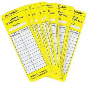 BRADY LAD-EITL521 Laddertag(tm) Insr,6-1/2 x 2 In,PK100