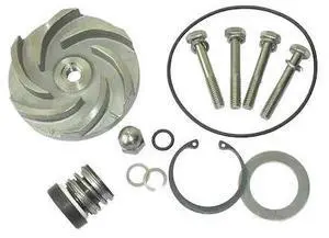 DAYTON 21TG89 Pump Repair Kit,For 2ZWY8A