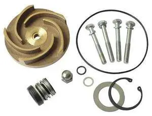 DAYTON 21TG84 Pump Repair Kit,For 2ZWY3A