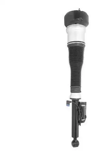 UNITY 28-513602 28-513602 Rear Left Electronic Air Strut Assembly